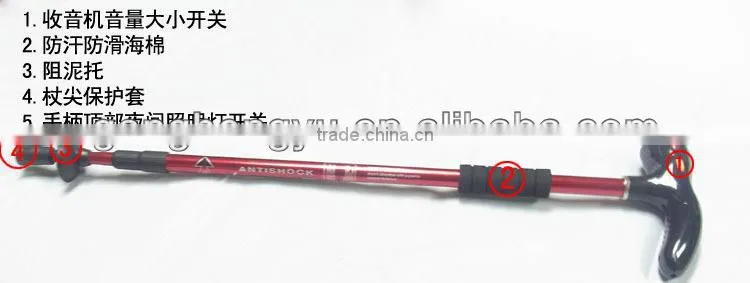 Multi-function electronic torch stick with FM radio