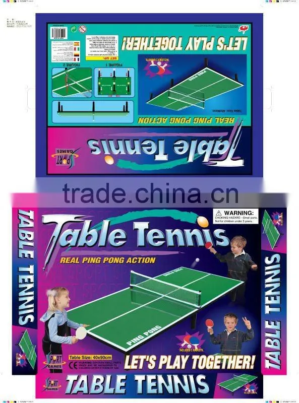 Mini PingPong Table