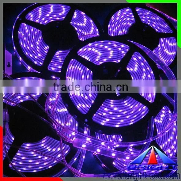 High quality led strip, 12v/24v SMD5050 30 60 120leds/m led strip light, led light strip with CE RoHS certification