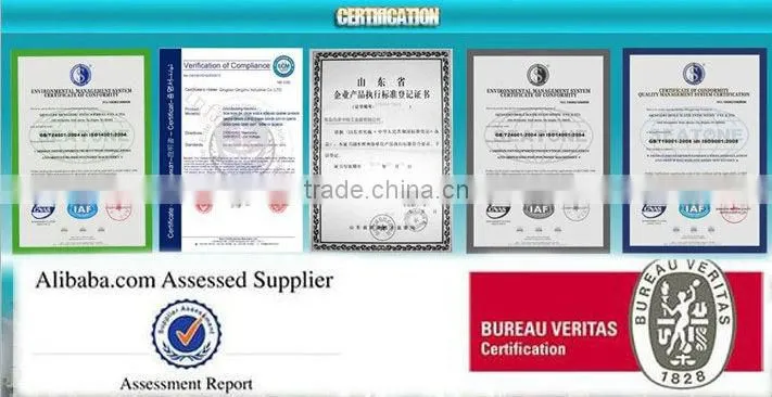 CE Approved Steel Descaling Shot Blasting Machine