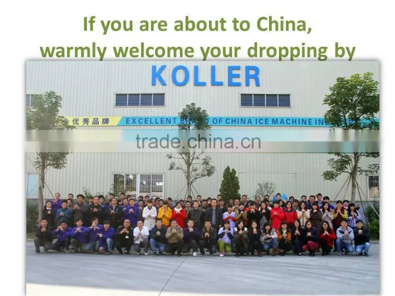 5 tons ice cube maker for human consumption