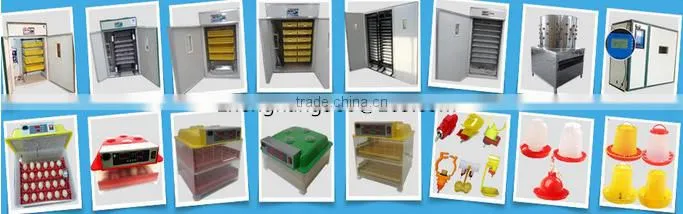 Incubateur pour les oeufs de caille/ incubateur capacity 33792 in Algeria