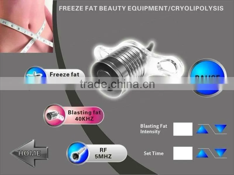 WS-30B Cool tech fat freezing machine