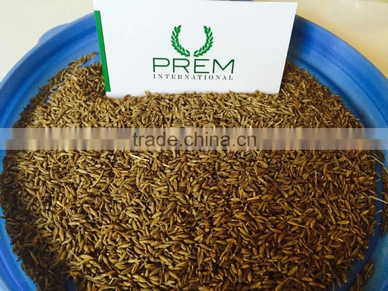 Cumin Seeds & Powder