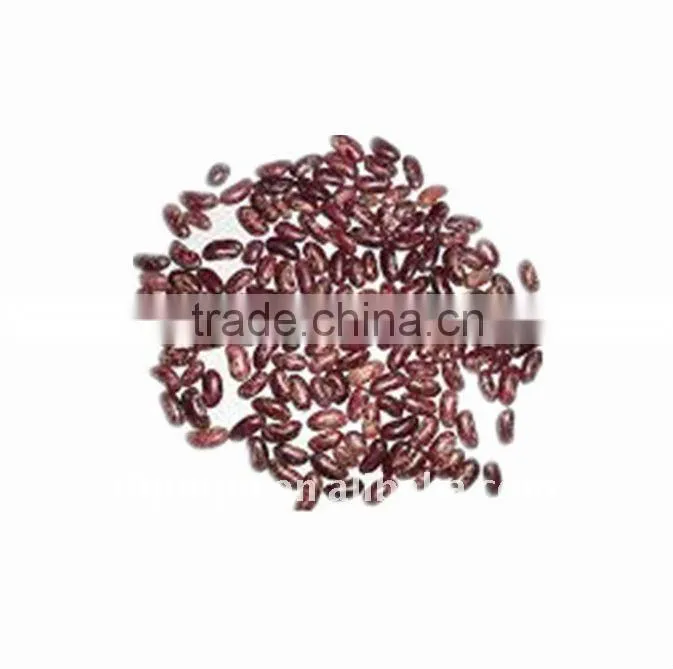 purple speckled kidney bean
