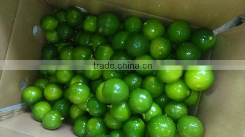 FRESH LEMON & FRESH LIME BEST price