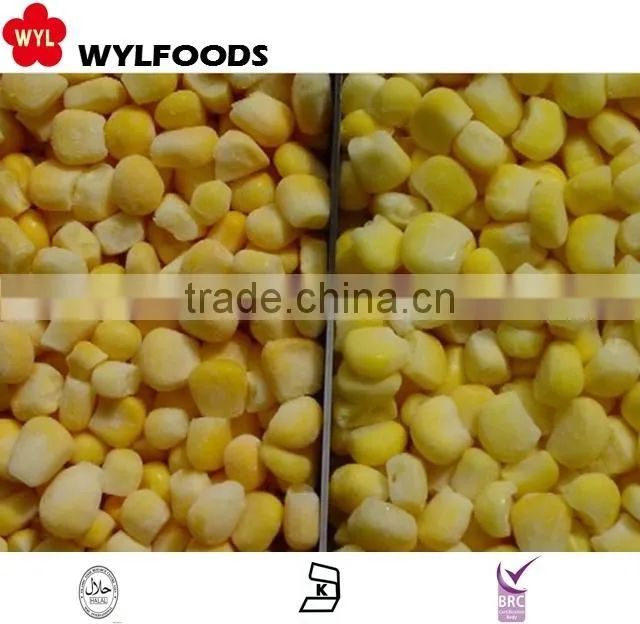 high quality iqf frozen sweet corn