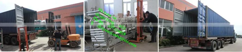 potato roller sorting machine /industrial potato sorter