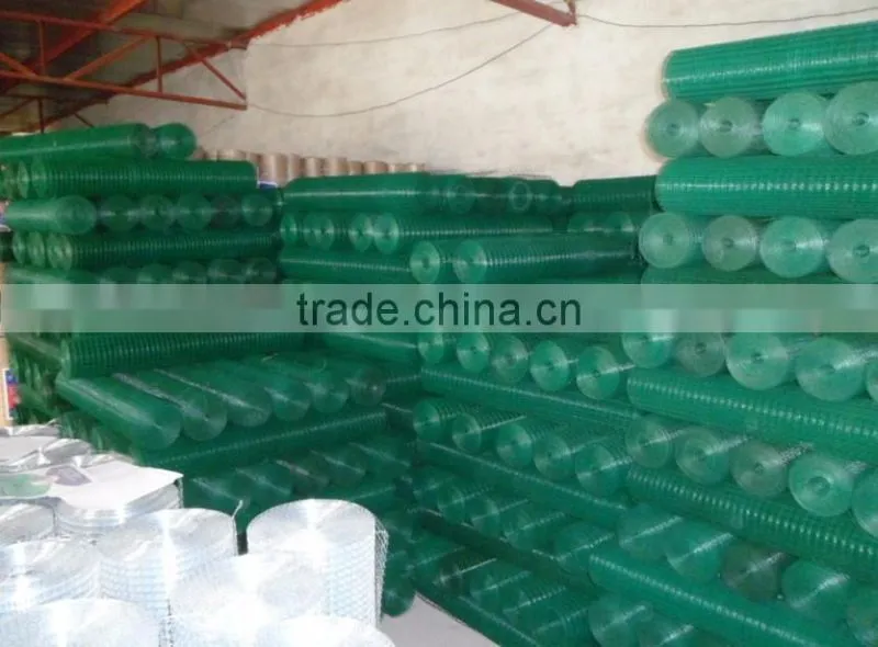 pvc coated 1/4 inch galvanized welded wire mesh