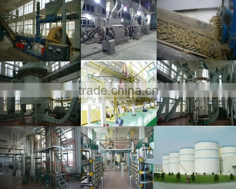 rice bran oil extraction machine