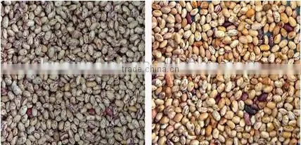 Belt Model Sorting Machine for Soybeans with Nikon Lens 0086 371 65866393
