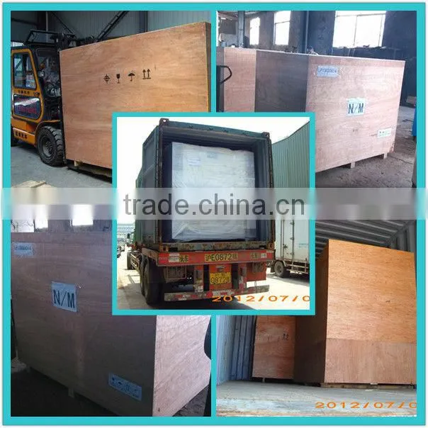 Kazakhstan/Australia/India best selling wood pellet briquette making machine in low price
