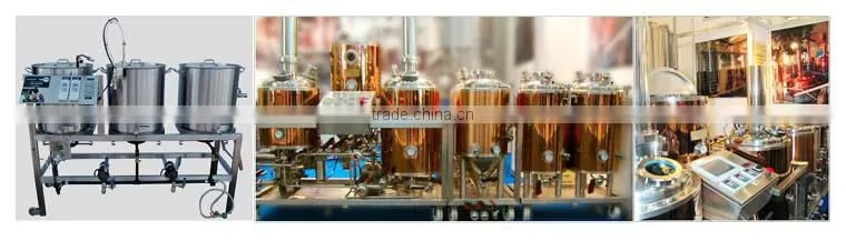 24v dc mini Beer brewing kettle manufacture pump