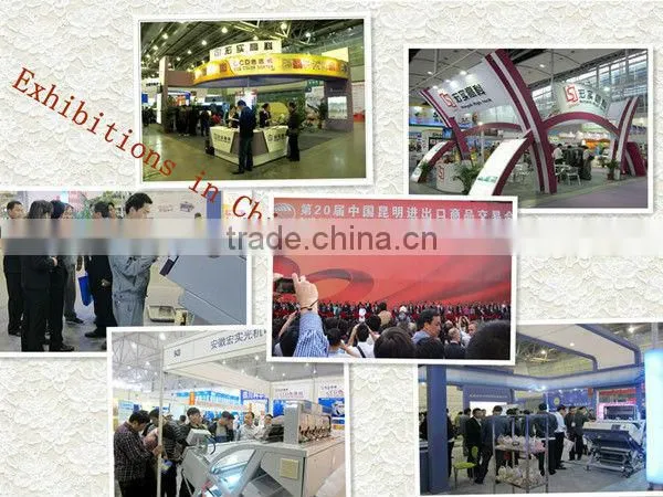Anhui Hons +CCD Dehydrated Vegetables Fruit Color Sorter machine