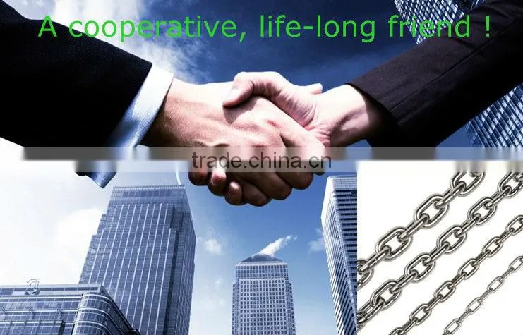high quality din 766 galvanized short link chain from Linyi WELLS