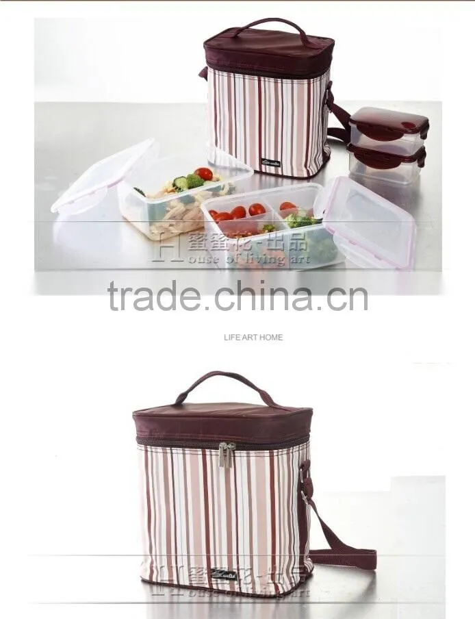 Waterproof 8.9L Travel Picnic Lunch bag Snack Tote Isothermic Cooler Handbag With Set of Lunch Box