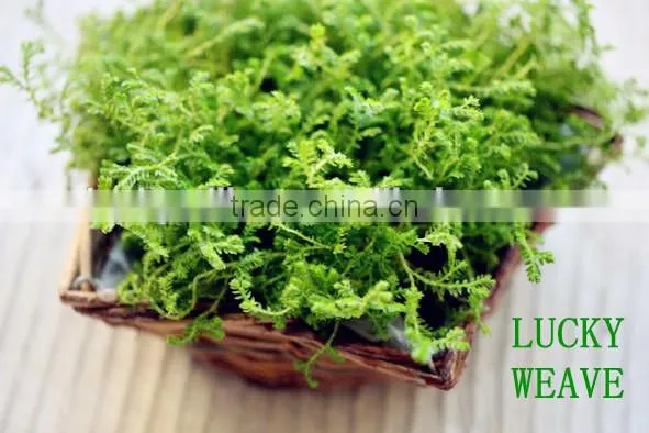 iron frame willow body wicker baskets for plants with plastic lining