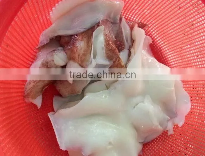 food seasoning ,Frozen Giant Squid Neck