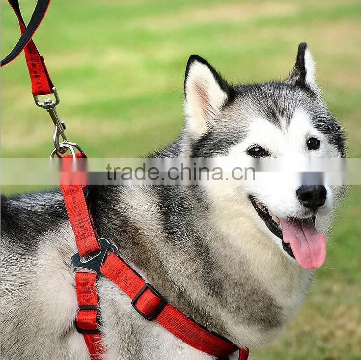 Wholesale Flashing LED Nylon Dog Collar Factory Directly