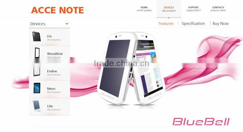website development
