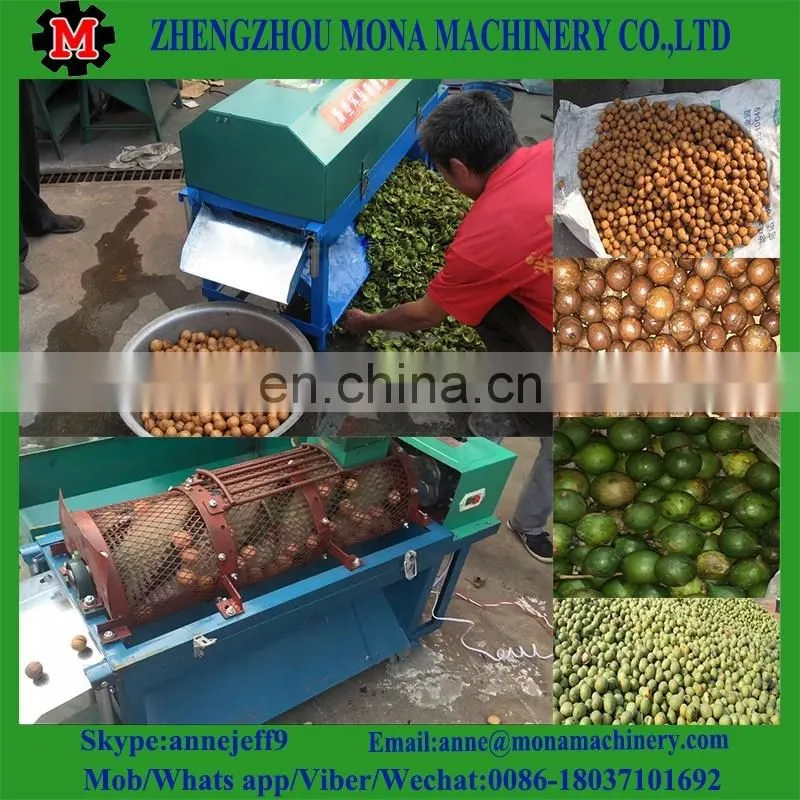 Green Walnut washing Peeling Machinery | Walnut peeler machine on sale