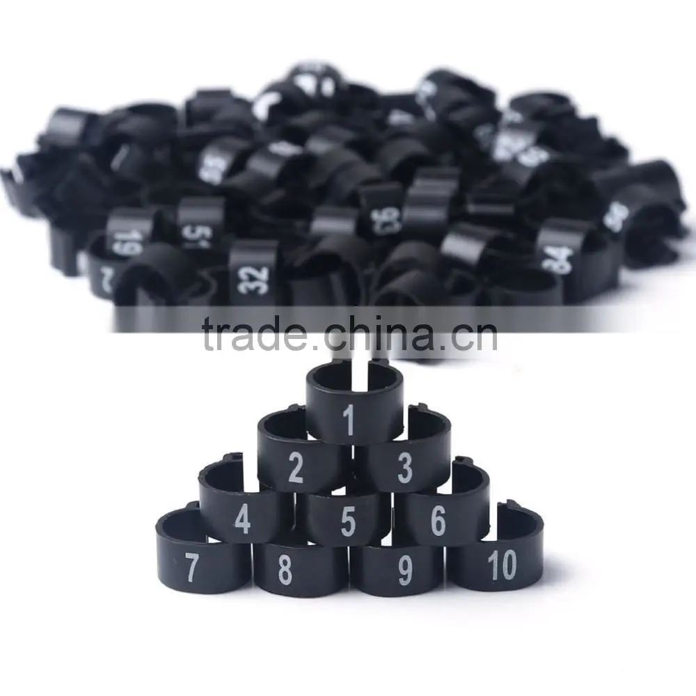 Colorful Rubber Ring Racing Pigeon