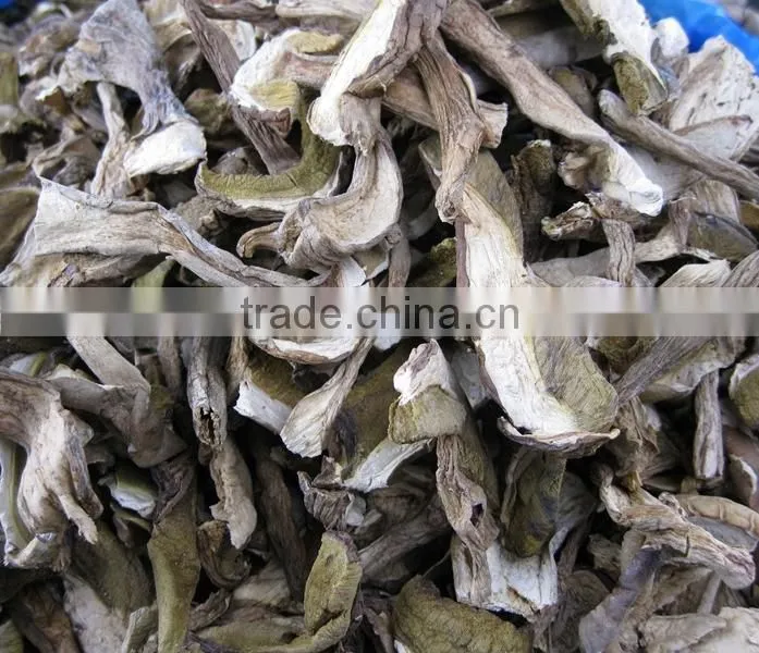 Esculent wild dried slice boletus mushroom
