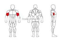 SK-603 Biceps curl physiotherapy exercise equipment