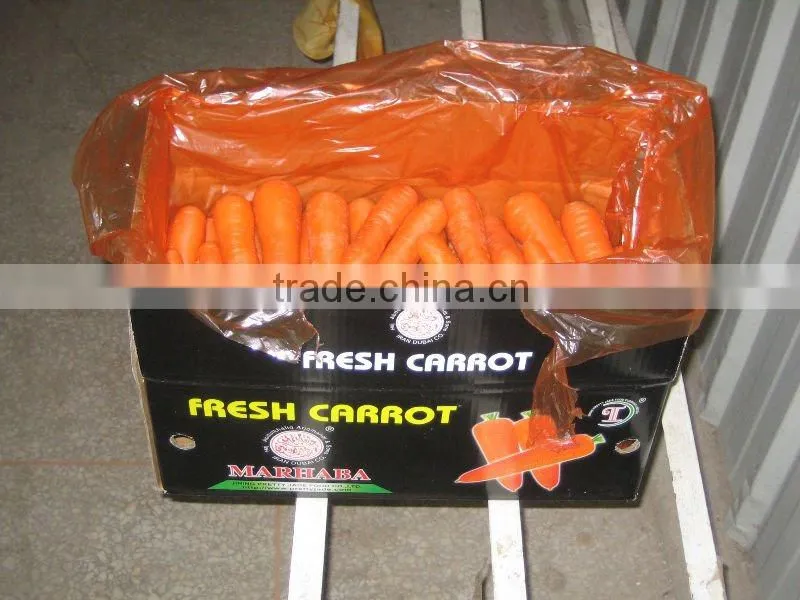 2013 Hot sale Chinese fresh red Carrot