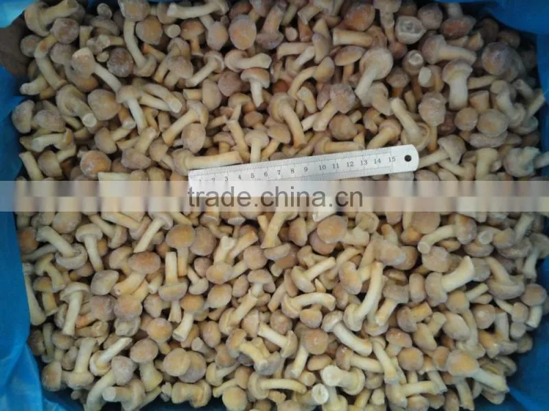 cheap good quality frozen new nameko mushroom wholesale price
