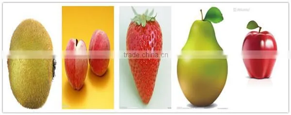 fresh apple juice production line