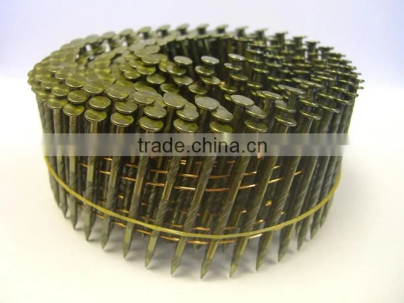 direct factory roofing coil nails / coil nail /china coil nail