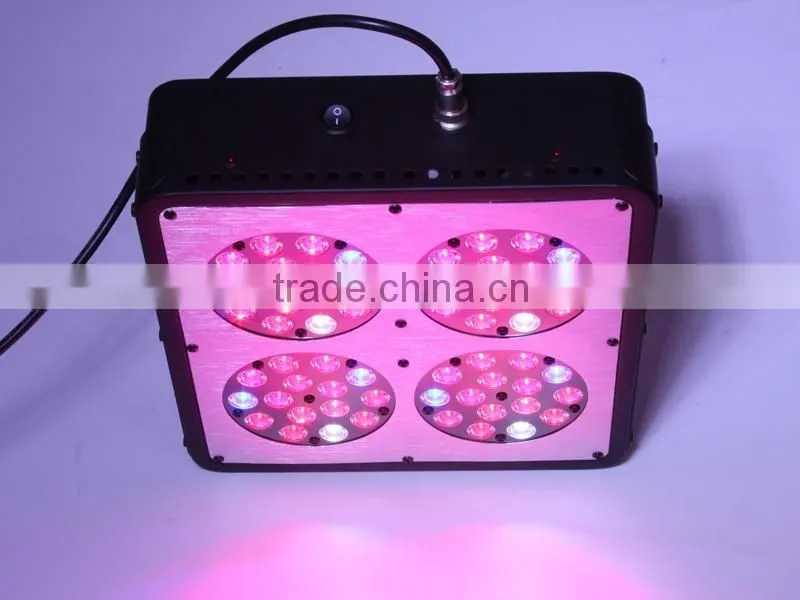 Wholesale grow light apollo series made in China