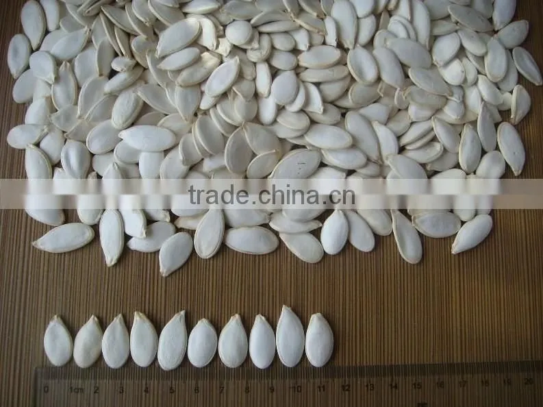 Snow White and Shine Skin Pupkin Seeds