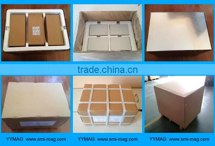 Parylene coated mini bar magnet micro magnet