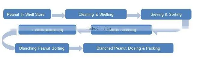 Professional Nut Equipment Peanut Roasting Blanching Line
