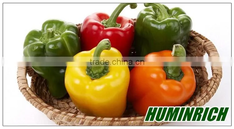 Huminrich Solubility High Quality Increase Vegetable Yield Potassium Humate Fertilizer