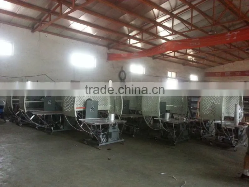 Wrapping Machine/carton Machinery