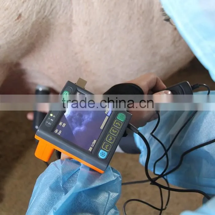 frequency convex probe portable veterinary ultrasound machine