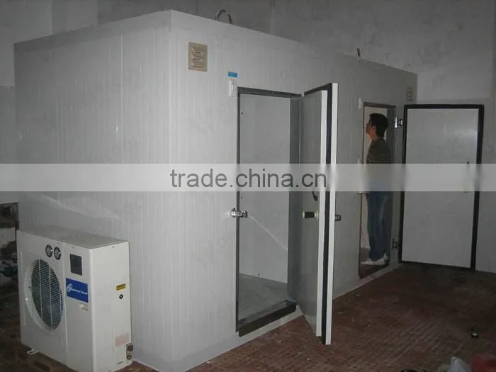 Commercial seafood meat cold room cold drink freezer