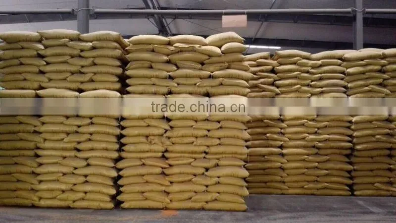 Corn Gluten Meal 60%