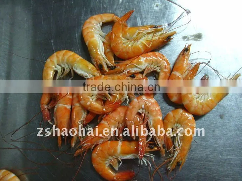 Frozen Vannamei Shrimp