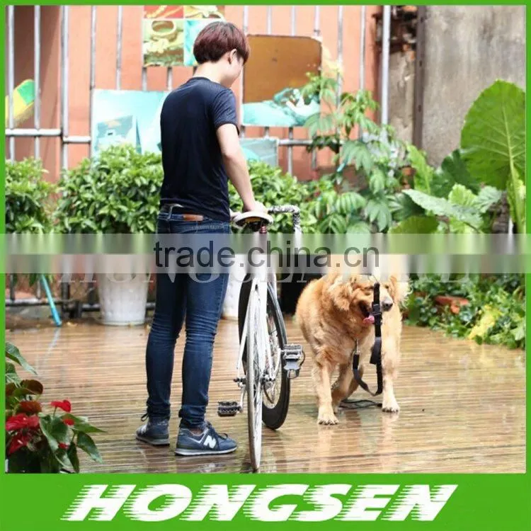 HS-D01 Reflexible Bungee Metal Dog Leash for Bike