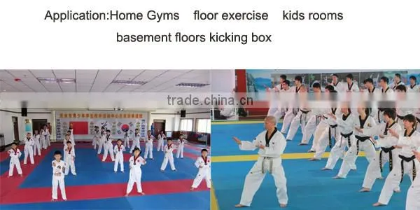 Flexi Roll tatami judo mat/eva puzzle mat/karate mat