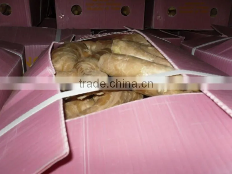 Fresh ginger for hot sale