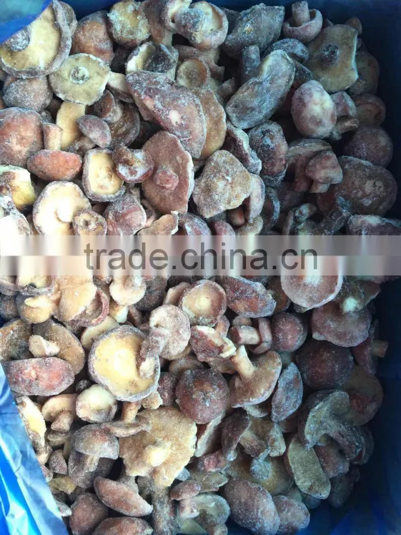 Frozen suillus granulatus
