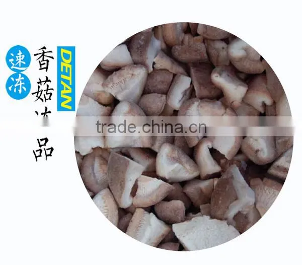 Crop Frozen Shiitake mushroom quarter wholesale