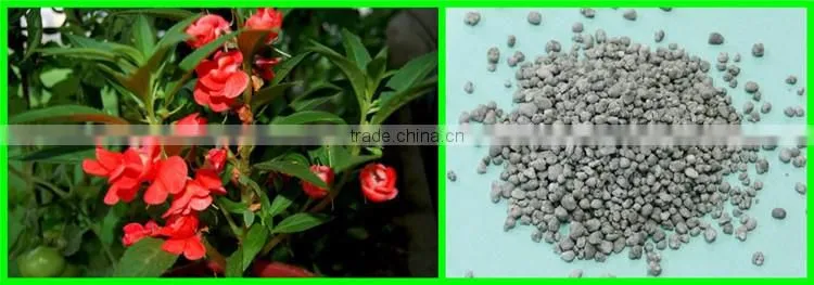 China hot sale agriculture grade ammonium sulphate