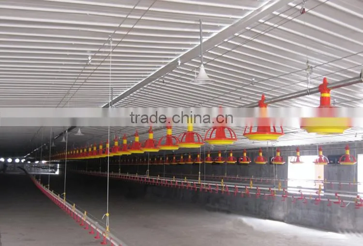 poultry automatic feeding system