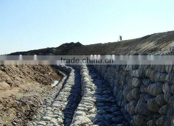 Hot Dipped Galvanized Trench Mesh